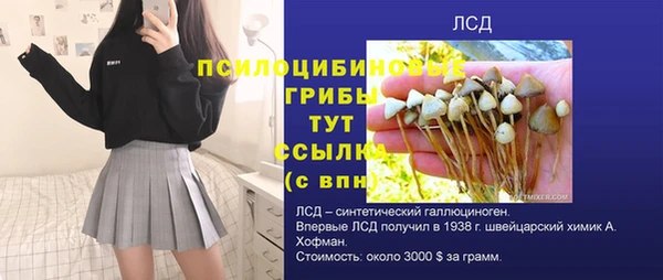стаф Армянск