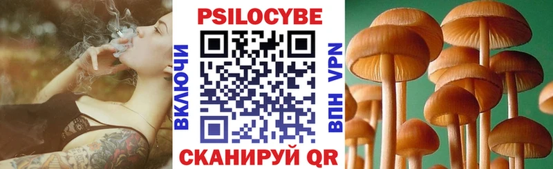 Псилоцибиновые грибы Cubensis Углегорск